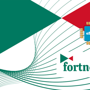 Fortnet 1 GB - 7 Días - Imagen 1